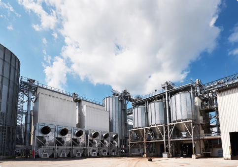 Giới thiệu về HCM Việt Nam